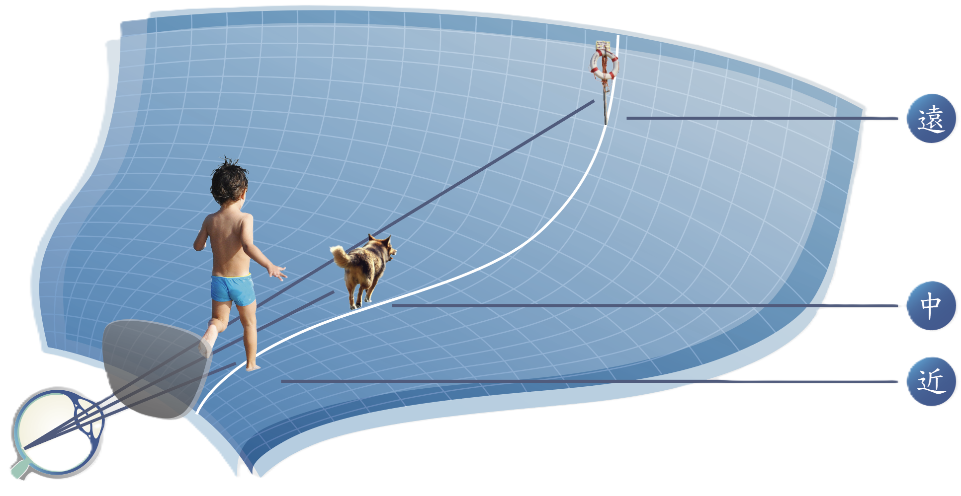 Gaze direction optimization diagram